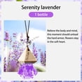 thumbnail image 1 of Hbdhejl Car Air Hanging Fragrance Oil Diffuser – Car Air Diffuser For Oils Aromatherapy Automobile Diffuser Long Lasting Car Diffuser Bottle 10Ml, 1 of 9