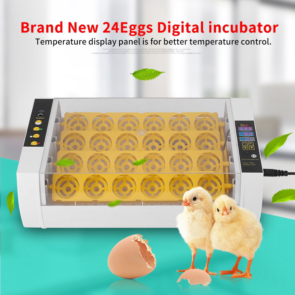 Details about   220V Mini Home Pet Poultry Egg Incubator Temperature Control Chicken Hatcher 