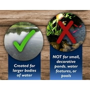 Tsunami DQ 1 Qt. Liquid 2 to 8 Qt./Acre Coverage Area Pond Weed Control 00137