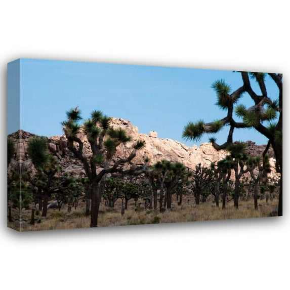 Erin Berzel 24x17 Gallery Wrapped Canvas Wall Art Titled - Hidden Valley II