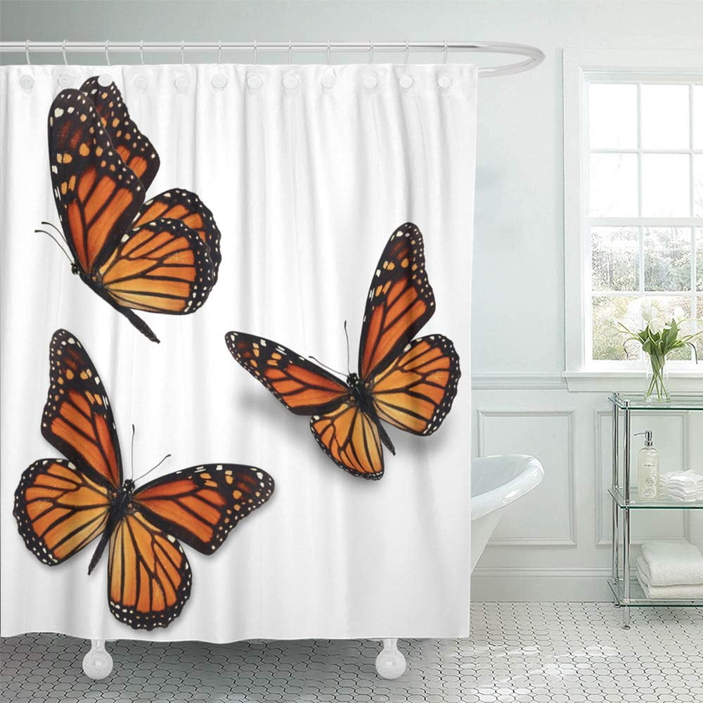 KSADK Orange Flying Three Monarch Butterfly White Yellow American
