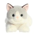 thumbnail image 2 of Aurora Flopsie - Nico Ragdoll (Cat) 12, 2 of 4