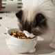 thumbnail image 1 of Comedero elevado para gatos | Plato elevado de cerámica para mascotas con soporte para el cuello | Diseño ancho y poco profundo que previene la fatiga de los bigotes | Comedero y bebedero de gran, 1 of 4