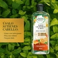 thumbnail image 3 of Shampoo Herbal Essences Bio Renew Toronja Blanca y Menta 400 ml, 3 of 5