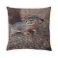 thumbnail image 2 of Ahgly Company Animals Squirrel Coussin d'Intérieur, 18 Pouces par 18 Pouces, 2 of 6