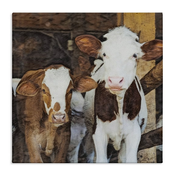 Stupell Industries Baby Cows on Farm Animals Painting Wrapped Canvas Art Print Wall Art, 17 x 17