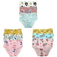 thumbnail image 5 of B&Q's Adorable Comfort: 9-Pack Stylish and Cozy Cotton Briefs for Toddler Little Girls | Sizes 2T-7T, Perfect for Everyday Wear, 5 of 5