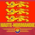 thumbnail image 3 of CafePress - Haute Normandie (Flag 10) Light T Shirt - Men's Classic Graphic Cotton T-Shirt, 3 of 4