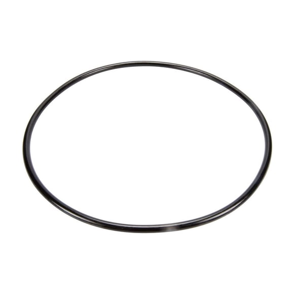 Pentair 87300400 Body O-Ring