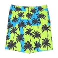 thumbnail image 4 of snilers Children's Boy Girls Beach Shorts Hawaiian Summer Casual Shorts Elastic Waistband Comfortable 3D Graphic Print Shorts, 4 of 4