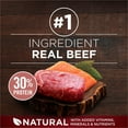 thumbnail image 4 of Purina ONE True Instinct Beef & Salmon, Dry Dog Food 12.4kg, 4 of 9