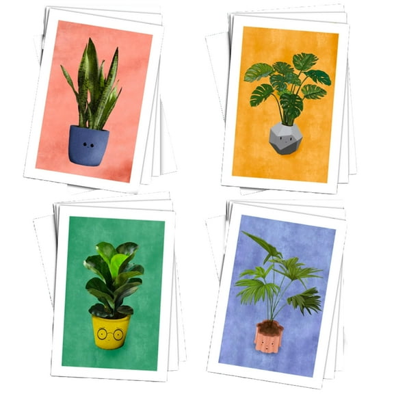 Potted Succulents All-Occasion Blank Note Greeting Cards | 12 Pack Assortment Bulk Variety Set (4x6)