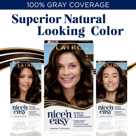 (Buy 2 and Save 30%) Clairol Nice N Easy Dark Mocha Brown