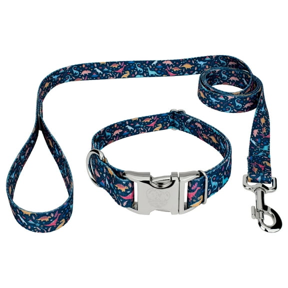 Country Brook Petz® Premium Dinosaurs Dog Collar and Leash, Small