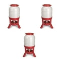 thumbnail image 1 of Little Giant 60 Pound Feed Heavy Duty Poultry Chicken Gravity Feeder (3 Pack), 1 of 7