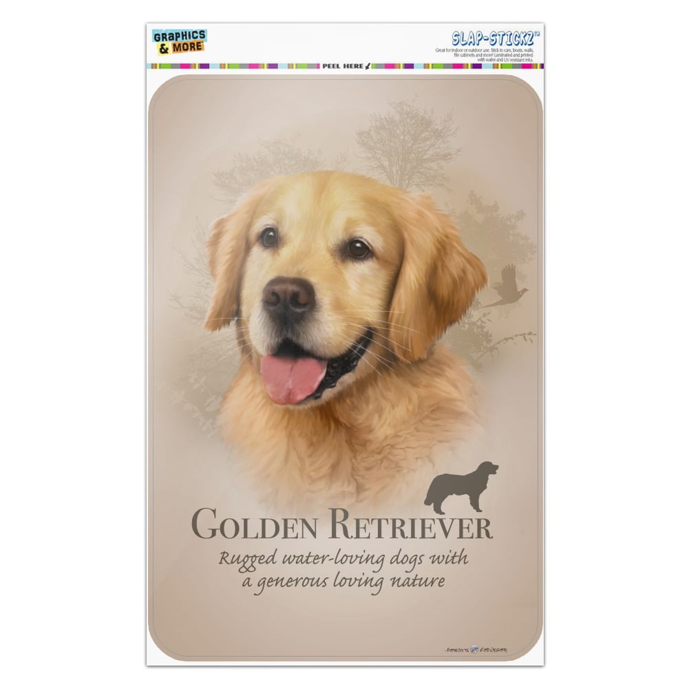 Golden Retriever Dog Breed Home Business Office Sign 
