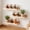 💖 Beige_Hot#59, variant on Wall Mounted Solid Wood Shelf with Baffle, No Drill or Adhesive Mount Options, Decorative Storage Rack for Living Room Bedroom Bathroom