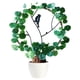 thumbnail image 3 of Marco De Hierro Para Plantas Trepadoras, Forma Redonda, Antioxidante Y Duradero, Soporte Estable Para Enredaderas En Flor, Decoración De Jardines Interiores Y Exteriores, 3 of 8