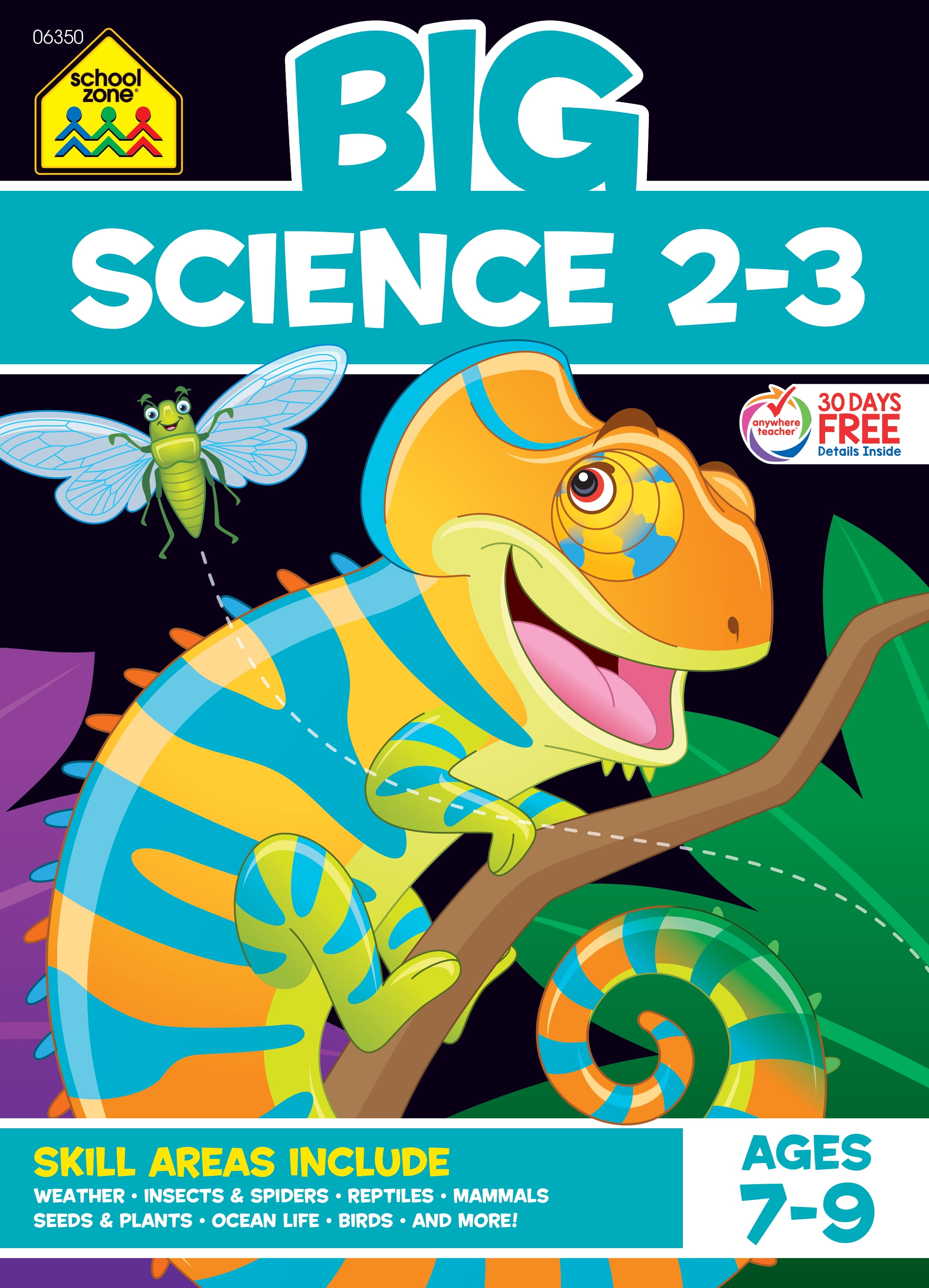 School Zone, Second Grade Workbook, 9780887431487, Kids Learning