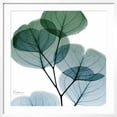 thumbnail image 2 of Art.com Dull Eucalyptus Mate Art Print by Albert Koetsier, White Frame Wall Art, 29" x 29", 2 of 5