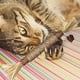 thumbnail image 5 of Palo para la dentición del gato Palo de madera Polygonum Nuevo juguete para gatos Limpieza dental Eliminación y refrescante del aliento Productos para mascotas, 5 of 8