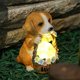 thumbnail image 2 of Yard puppy solar animal ornaments welcome sign statue night light crafts decoration, 2 of 5