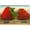 Unframed, variant on Art.com Mammoth Strawberry on Traincar, Oxnard, California Art Print, 36" x 24"