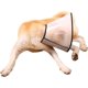 thumbnail image 3 of Collar protector ajustable ZHAOCHENG para perros y gatos cirugía antimordeduras, 3 of 5