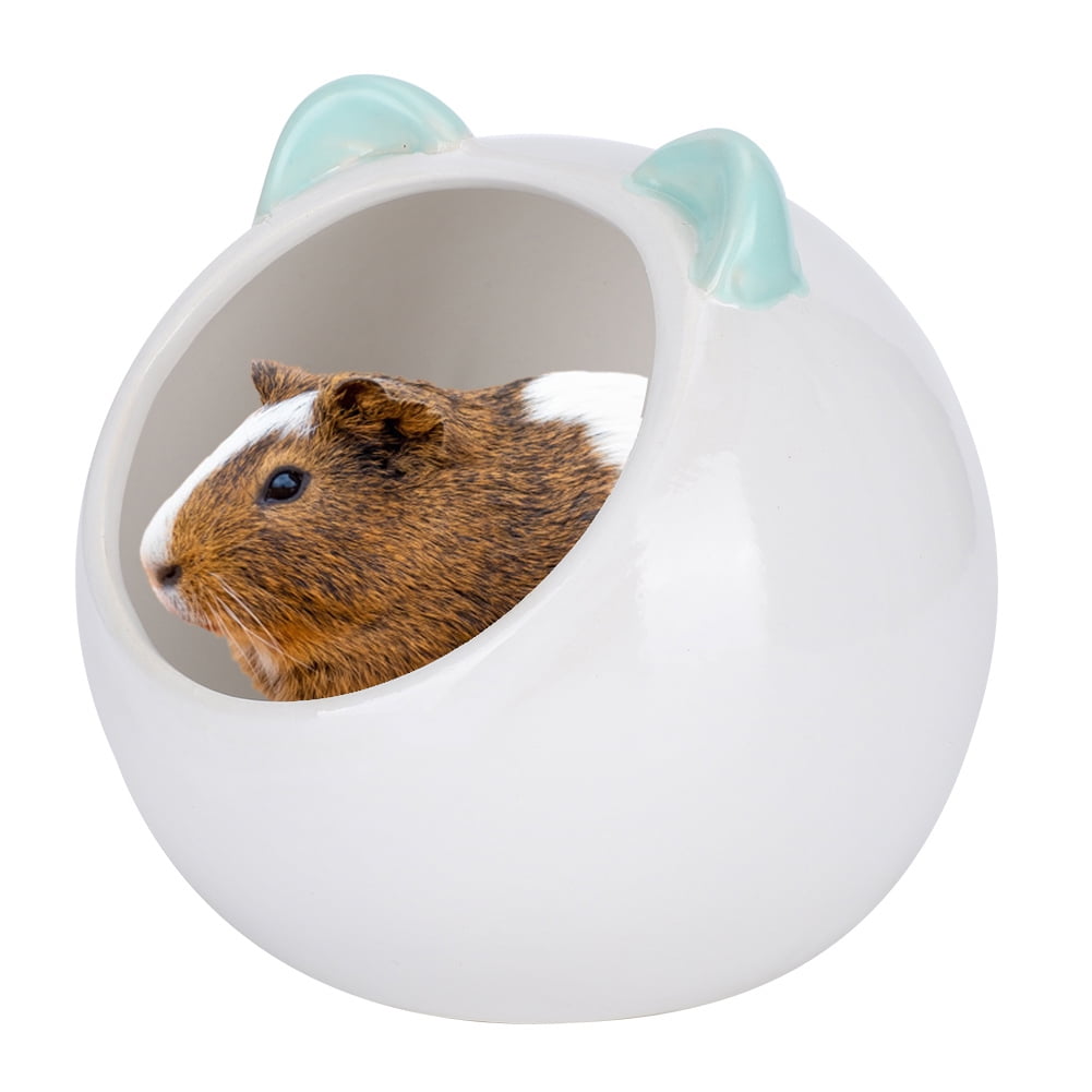 ceramic chinchilla house