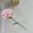 thumbnail image 4 of Regalos de cumpleaños con claveles de flores artificiales, para San Valentín, bodas, aniversarios, cumpleaños, regalos únicos para citas, 4 of 6