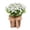 White, variant on HCBY Artificial Daisy Hanging Basket, White/Orange Flowers with Wicker Basket, Farmhouse Style Door Decor, 13.78 Inch Wall Hanging Ornament for Home and Entryway