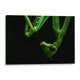 thumbnail image 1 of Cuadro decorativo - Mantis, HCTR 30x20 Canvas Lab Animales, Naturaleza, Animales y naturaleza,, 1 of 2