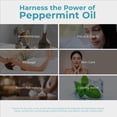 thumbnail image 2 of Aceite Esencial Viva Doria de Menta Piperita 30 ml de grado alimentario, 2 of 8