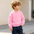 thumbnail image 5 of DJDLJWCJ Boys Fleece Lined Sweatshirt Thick Winter Warm Crewneck Pullover Stretch Soft Solid Color Tops Pink Size 18 Months, 5 of 10