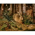 thumbnail image 2 of Hoffmann, Hans 18x15 Black Ornate Wood Framed with Double Matting Museum Art Print Titled - A Hare in the Forest, 2 of 4