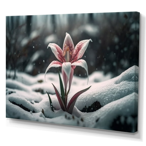 Designart A Blooming White And Pink Lily Flower In Winter Canvas Wall Art