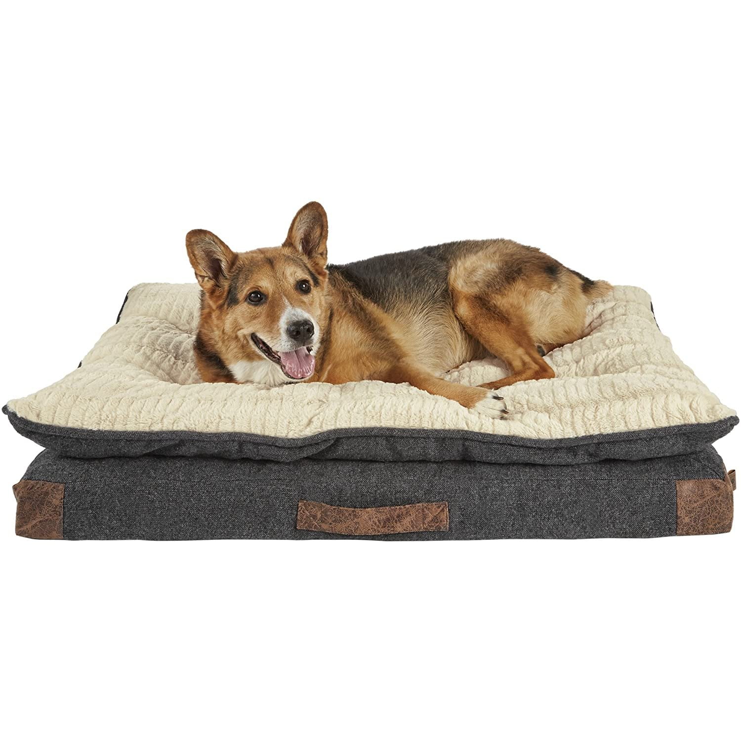 harmony memory foam couch dog bed