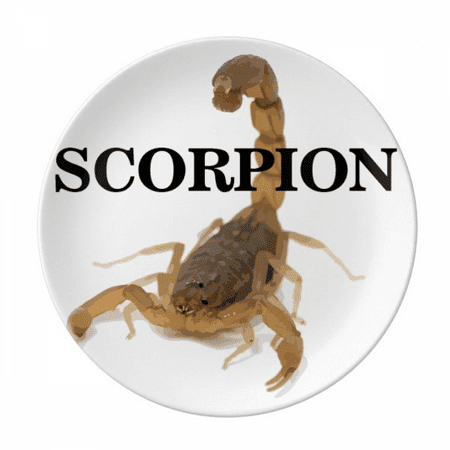 

Scorpion Natural Insect Routine Plate Decorative Porcelain Salver Tableware Dinner Dish