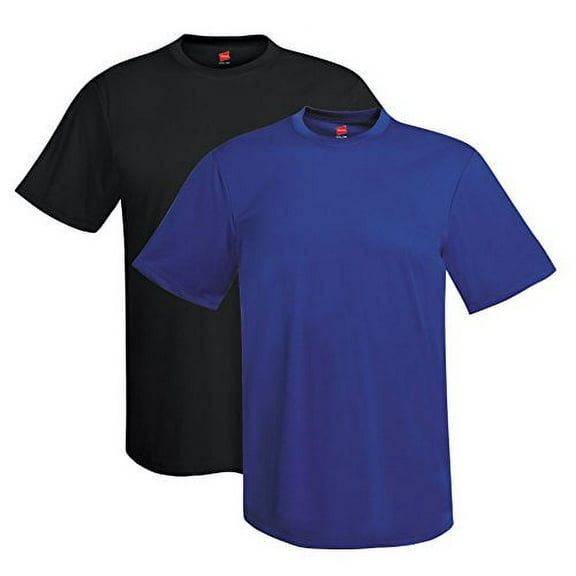 Hanes Cool DRI® TAGLESS® Men`s T-Shirt (Pack of 2) (1 Black / 1 Deep Royal)