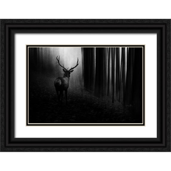 Reindl, Doris 32x23 Black Ornate Wood Framed with Double Matting Museum Art Print Titled - Stag