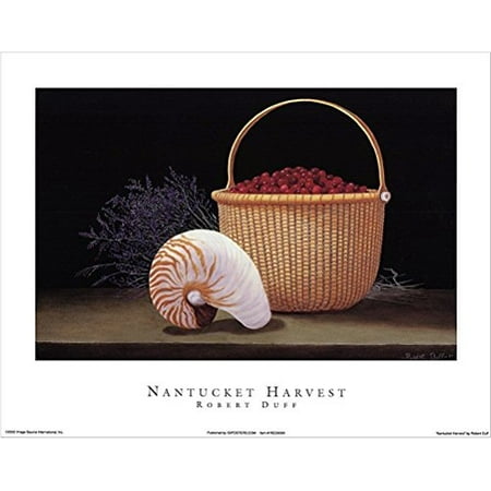 Nantucket Harvest - Nantucket Harvest by Robert Duff 28x22 Art Print Poster Still Life Painting Conch Shell Cranberry Basket and Purple Fowers