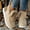 Beige, variant on Women's Boots 2024 New Women Winter Boots Fur Shoes Women Ankle Boots Snow Botas Mujer Slip On Winter Shoes Female Flat Footwear (GRAY,37)