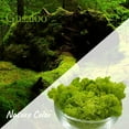 thumbnail image 2 of Moss Preserved Artificial Moss 8.8 oz Natural Fresh Green Moss for Craft Arts Floral Project Wall Decor Table Decor Wedding Centerpieces Garden Terrariums Decoration, 2 of 6