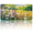 Flowers in a Field, variant on 1 Pcs 2D Flat License Plate Covers & Frames, NANA with Flowers For Decorative Front, Waterproof For Decoration Aluminum License Plate Covers & Frames Cover For Men Women, 12" X 6"