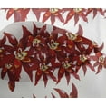thumbnail image 4 of oneOone Viscose Chiffon Fabric Flower Artistic Printed Craft Fabric BTY 42 Inch Wide, 4 of 4