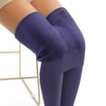 thumbnail image 4 of Arnsht Womens Denier Opaque Tights, Women's Soft Solid Color Footed Pantyhose, High Waist Stocking Purple Free Size, 4 of 9