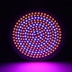 thumbnail image 4 of Luz de cultivo de plantas Jadeshay Bombilla de planta de 260 LED de un solo cabezal 26W, 4 of 8