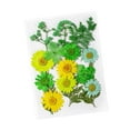 thumbnail image 4 of Flores prensadas secas, juego de flores de , hermosa artesanía, fabricación de velas, Material de fabricación DIY para pantallas de , Verde, 4 of 8