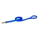 thumbnail image 1 of Correa De Biothane Para Perro 180cmx19mm Jaru, 1 of 1