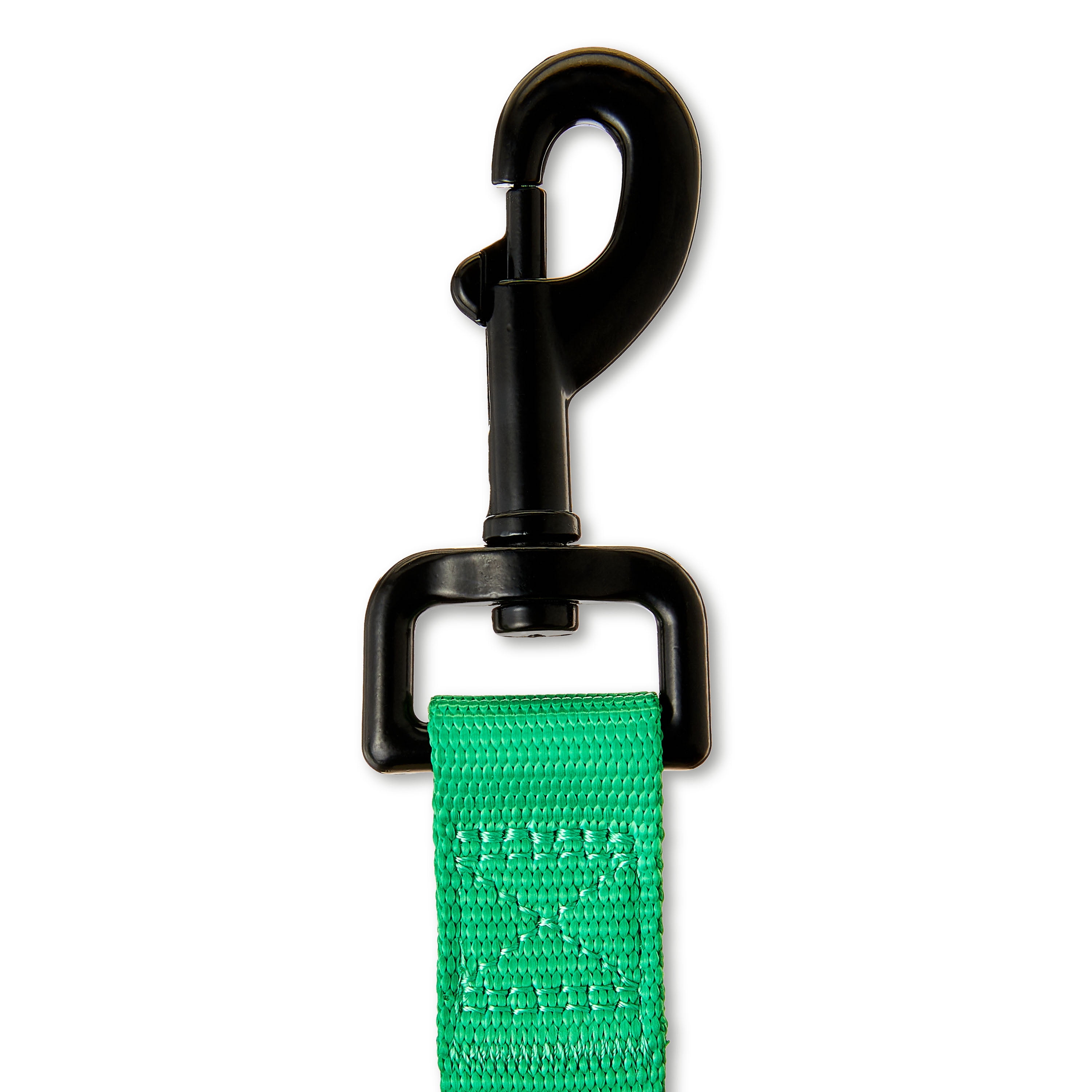 Vibrant Life 4' Polyester Standard Dog Leash, Green